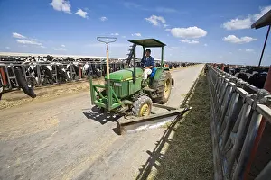 Tractors: Tractor pushing silage before cornadis California USA