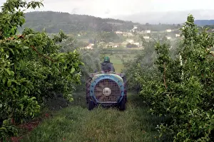 Chemicals: Tractor - spraying Orchard