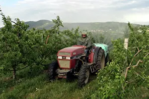 Chemicals: Tractor - spraying Orchard
