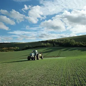 Sprayer: Tractor spraying seedling wheat crop, UK