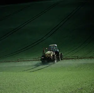 Sprayer: Tractor spraying seedling wheat crop, UK