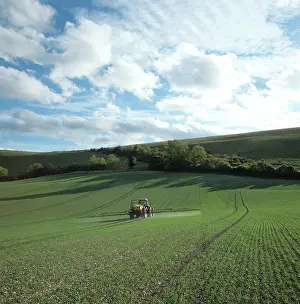 Sprayer: Tractor spraying seedling wheat crop, UK
