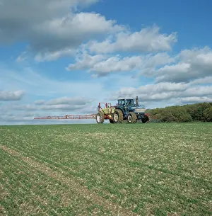 Farmer: Tractor spraying seedling wheat crop, UK
