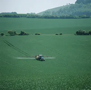 Sprayer: Tractor spraying wheat crop
