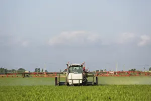 Ebro: A tractor sprays a fungicide onto the rice fields