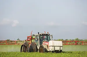 Ebro: A tractor sprays a fungicide onto the rice fields