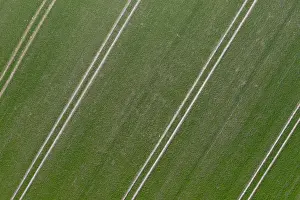 Track: Tractor tracks