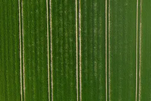Track: Tractor tracks