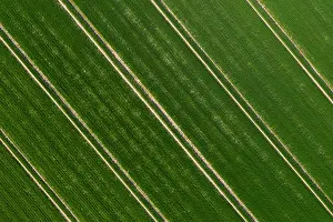 Track: Tractor tracks