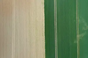 Track: Tractor tracks