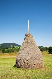 Monochrome: Traditional haystack Triste in the Schwantenau moorland