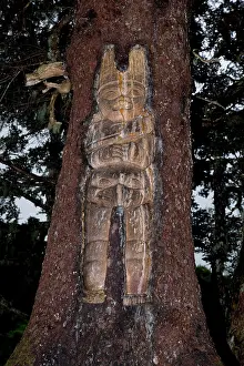 Forrest: Traditional living-tree totem carving Mount Roberts Tramway