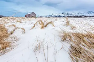 Cabin: Traditional Norwegian Red Cabin in field covered with snow