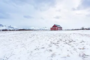 Cabin: Traditional Norwegian Red Cabin in field covered with snow
