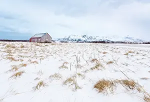 Cabin: Traditional Norwegian Red Cabin in field covered with snow