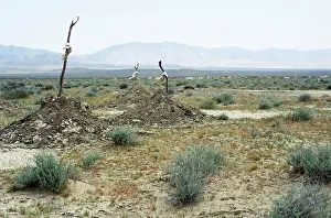 Kara: Traditional Turkmen graves - a cemetery of simple