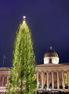Celebrations: Trafalgar Square Christmas Tree, London, England