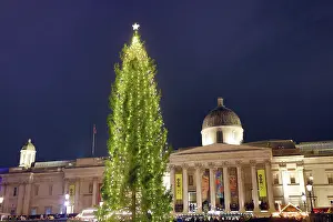 Celebrations: Trafalgar Square Christmas Tree, London, England