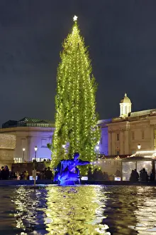 Celebrations: Trafalgar Square Christmas Tree, London, England