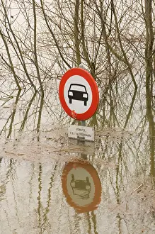 Floods: Traffic sign - No cars allowed