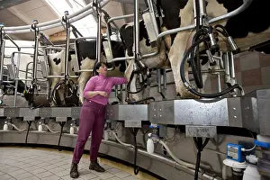 Circular: Trafficking of cows in a milking circular