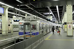 Trains: Train from the Nankai Line at the station on a platform