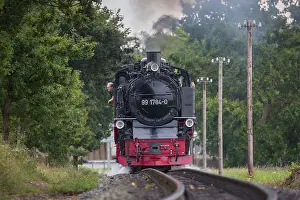 Railway: A train of the Ruegensche Baederbahn - nicknamed