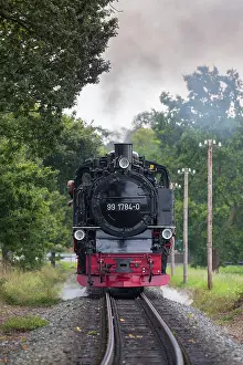 Railway: A train of the Ruegensche Baederbahn - nicknamed