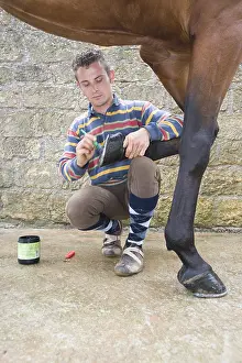 Trainer: Trainer greasing the hoofs of a horse France