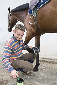 Lorraine: Trainer greasing the hoofs of a horse Obreck France