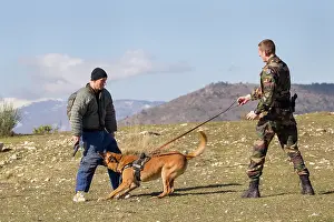 Attacks: Training with the biting decoy - France
