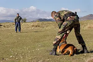 Attacks: Training with the biting decoy - France