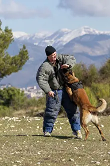 Attacks: Training with the biting decoy - France