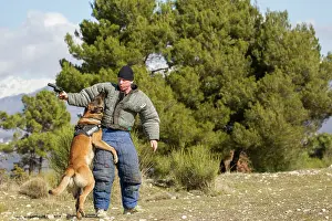 Attacks: Training with the biting decoy - France
