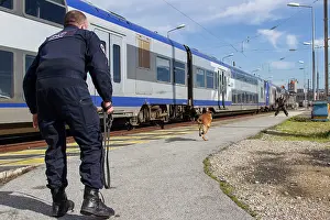 Attacks: Training with the biting decoy on a train dock - France