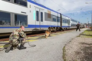 Attacks: Training with the biting decoy on a train dock - France