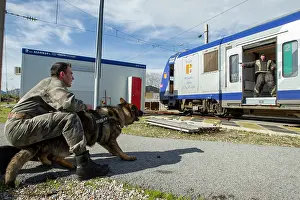 Attacks: Training with the biting decoy in a train SNCF - France