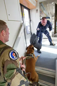 Attacks: Training with the biting decoy in a train SNCF - France
