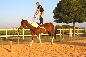 Exercise: Training exercise of a Horse by a young rider