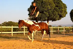 Exercise: Training exercise of a Horse by a young rider