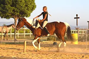 Exercise: Training exercise of a Horse by a young rider