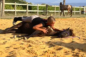Obedience: Training exercise of a Horse by a young rider