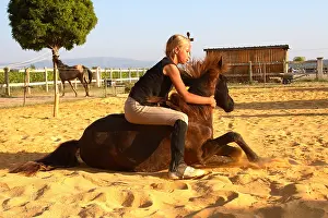 Obedience: Training exercise of a Horse by a young rider