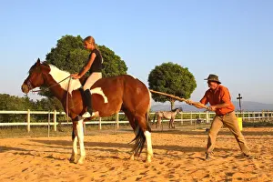 Obedience: Training exercise of a Horse with a young rider