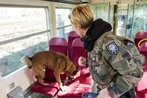 Herding: Training in research of explosive in a train SNCF - France