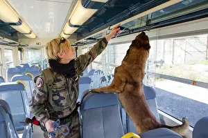 Herding: Training in research of explosive in a train SNCF - France