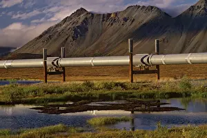 Trans: The Trans-Alaskan Oil Pipeline passing through
