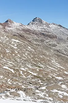 Unique: Transhumance: the great sheep trek across
