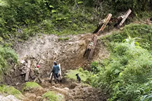 Attach: Transport of planks of wood from hight elevation forest