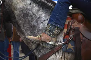 Harnessings: Trappings of a knight who practices western riding